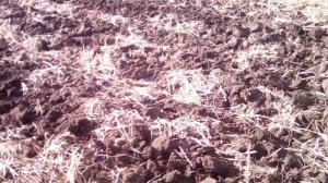 Стойки дельтаплау в работе с  МТЗ-82.