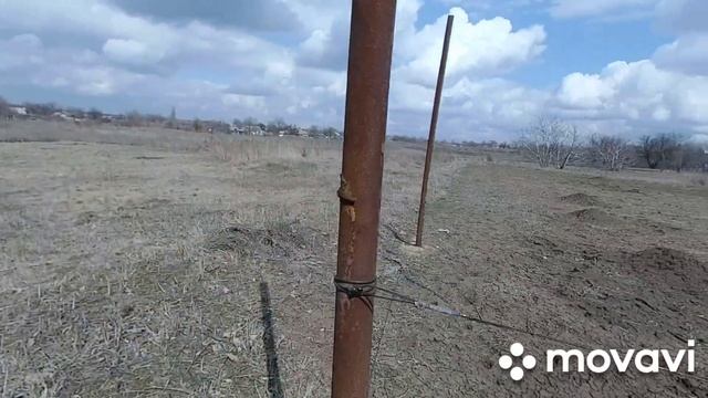 мой виноградник