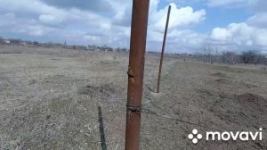 мой виноградник