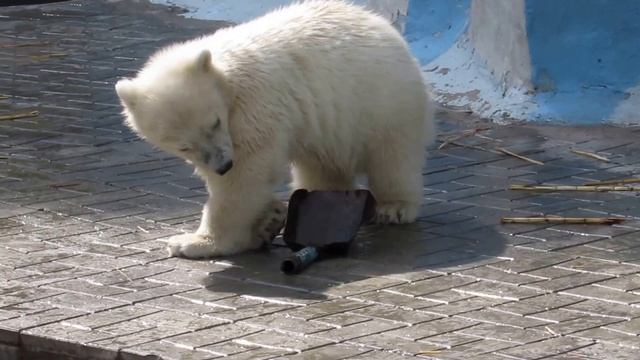 Ох, как трудно уборкой заниматься 07.05.16 смотреть онлайн