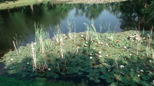 Прогулка по Крумлову (1) смотреть онлайн