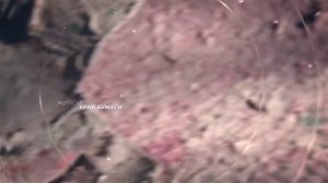 Бумага авторского литья