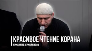 Красивое чтение Корана / Мухаммад Мухаммадов / Фатхуль Ислам