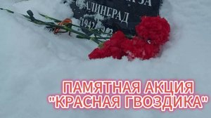 Остров Людникова_Акция Красная гвоздика