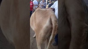 молбозори н.А.Чоми👍🔔🤝🇹🇯💯❤️