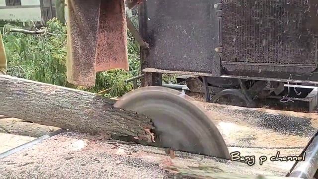 kayu mahoni sebagus ini hanya dibuat bahan papan cor - Sawmill Indonesia смотреть онлайн