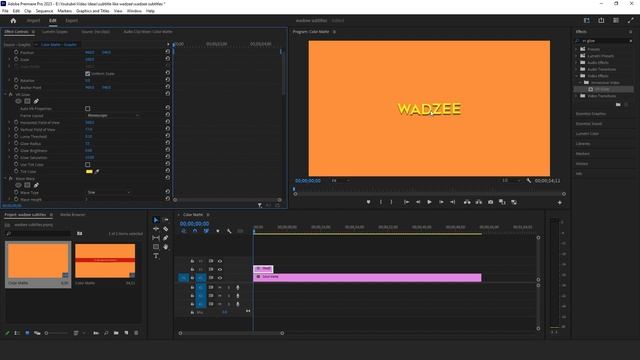 How To Subtitle Like WadZee In Premiere Pro | Ultimate Guide смотреть онлайн