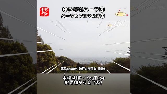 神戸布引ハーブ園の見どころ・楽しみ方やアクセス･駐車場・ロープウェイ乗り場も案内　#shorts смотреть онлайн