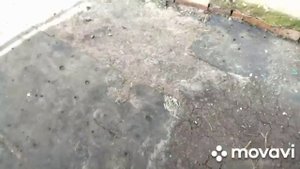 В селе у Свекруньки