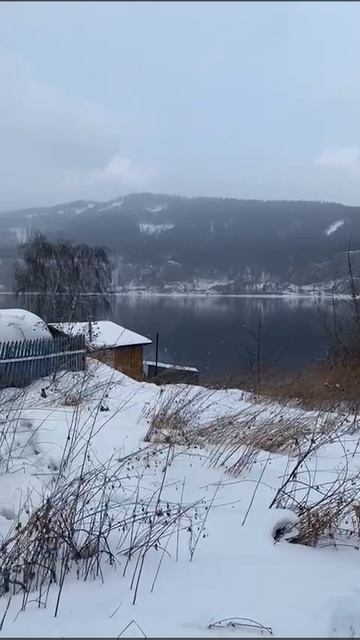 WhatsApp Video 2025-03-12 at 16.12.01 1