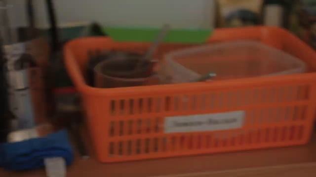 movavi day 2 смотреть онлайн