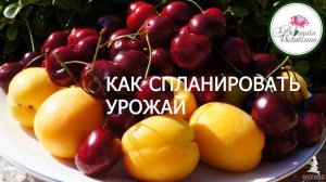 КАК СПЛАНИРОВАТЬ БУДУЩИЙ УРОЖАЙ