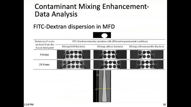 In situ Investigation of Subsurface Porous Media Processes Microfluidics and Chemical Imaging смотреть онлайн