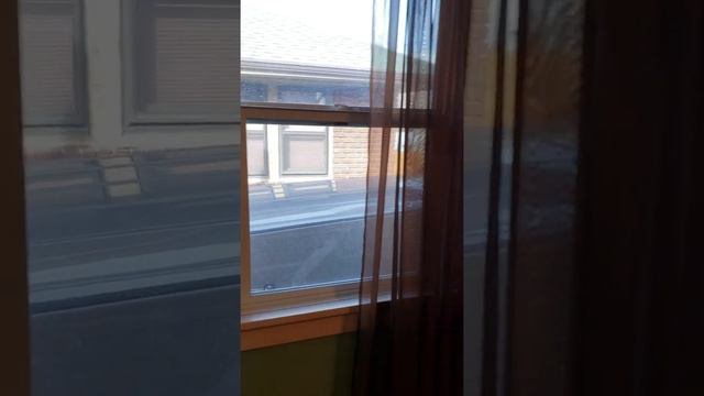 2774 Van Buran смотреть онлайн