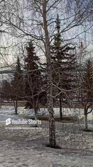 Признак энергонаполненности #психологонлайн #энергетикачеловека #отношения