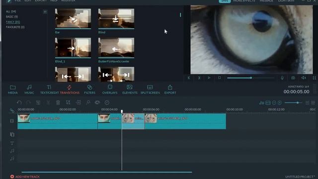 EYE ZOOM TRANSITION FILMORA   ZOOM EFFECT  TRANSITION IN FILMORA
