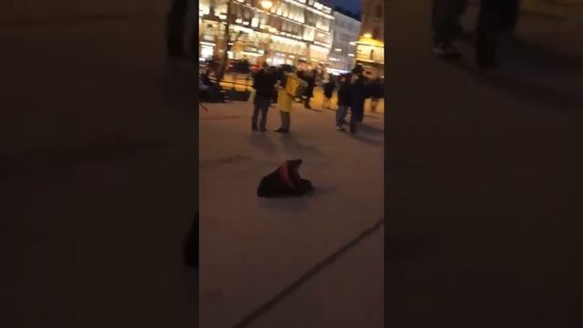 Вечером на Сенной смотреть онлайн