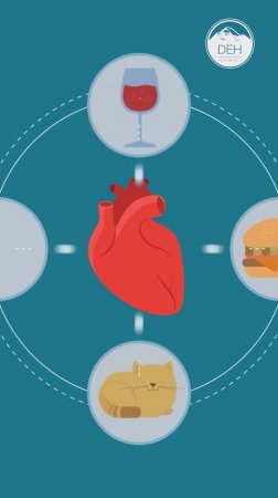 Сколько ещё прослужит ваше сердце?💘 Проверьте в телеграм-боте о здоровье: @deholding_info_bot