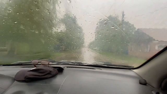 ИЗ КУРЯТНИКА - ОГОРОД☀️ МОЖЕТ У НАС ПОЛУЧИТСЯ☀️ПОПАЛИ ПОД ЛИВЕНЬ @ Семья из России Пронькины