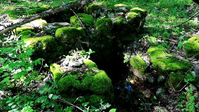 Колодец Кой Бак 03 июня 2023 смотреть онлайн