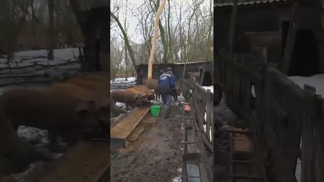 В одну шеренгу становись.