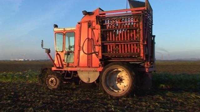 Our Classic Sugar Beet Harvester - Italo Svizzera HM190id смотреть онлайн