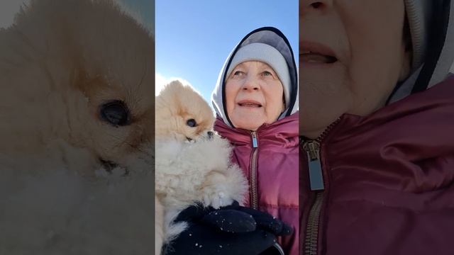 Второй день весны..#шпиц#боня#гуляемпослеснегопада смотреть онлайн