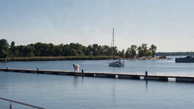 Свадьба Дарьи и Артёма смотреть онлайн