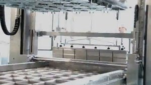 Производство твердых насыпных сыров. Видео с производства.