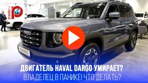 Haval Dargo не заводится? "Завожу – глохнет!": что случилось с кроссовером