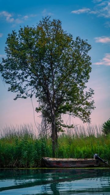 How To Make Your Photos Pop With Lightroom | Zv-e10 | E 18-105 F4 G Oss смотреть онлайн