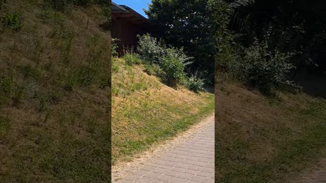 Офигительное место для отдыха! смотреть онлайн