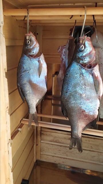 Рыба холодного копчения смотреть онлайн