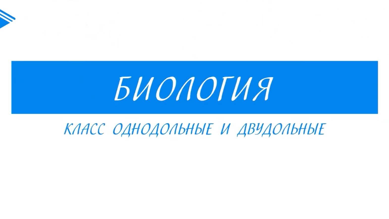 6 класс - Биология - Класс Однодольные и Двудольные