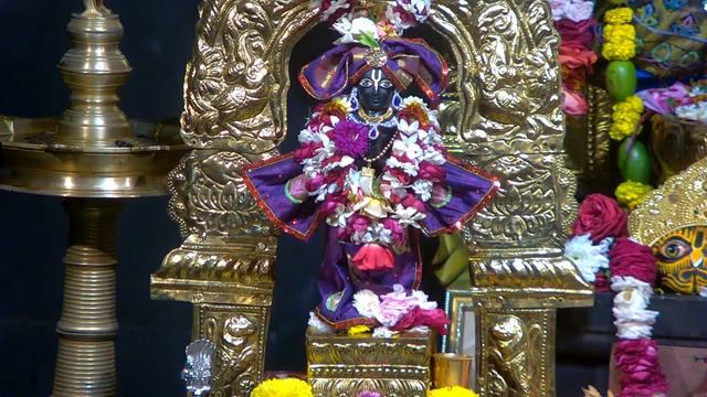 Sandhya Arati Sri Mayapur Dham February 12 , 2024 смотреть онлайн