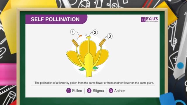Science - Grade 5: Pollination смотреть онлайн