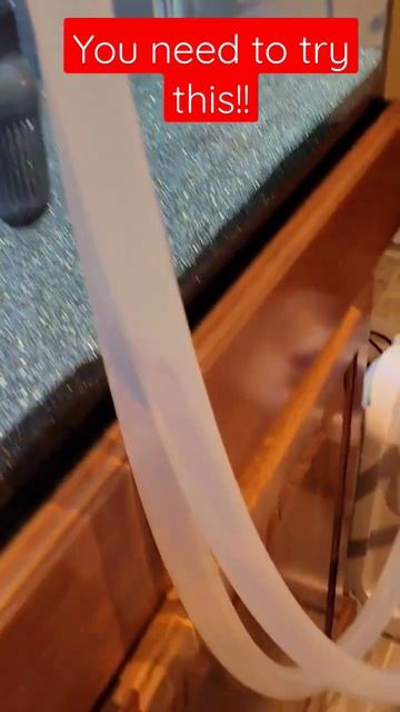 SunSun 704b Canister Filter Experiment - YOU NEED TO SEE THIS!! смотреть онлайн