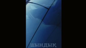 Слежка над активистами перед митингом