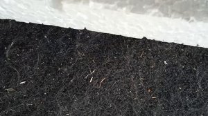 что будет если выжигателем прожечь пенопласт