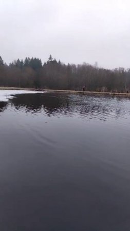 Обзор водоёма РК "Фишка" Петряиха