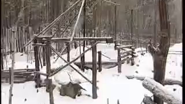 Репортажи из замка.Пышминский замок смотреть онлайн