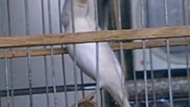 001 смотреть онлайн