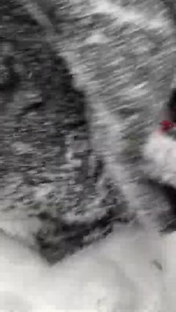 Вереск зимой💕 смотреть онлайн