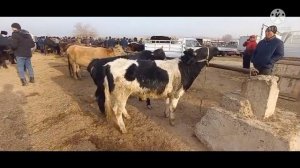 2.01.2022 мархамат мол бозори  новости нархиэ