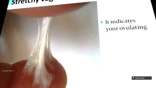 All about big pussies смотреть онлайн