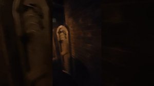 VID_20250311_144023.mp4