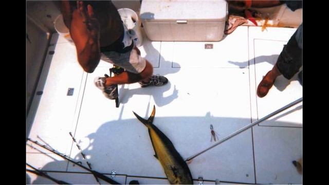 Stephen's Life of FIshing смотреть онлайн