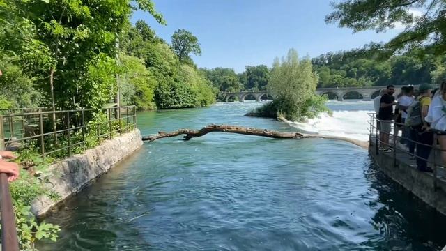 4 июня 2023 г. смотреть онлайн