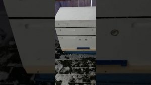 Пеноулик 20 рамочный