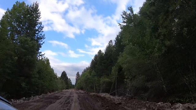 Министерство обороны убивает природу и #плишкинскийлес!!! смотреть онлайн